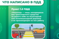Медиапроект_Пешеходы