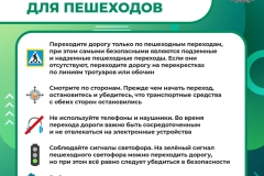 Медиапроект_Пешеходы