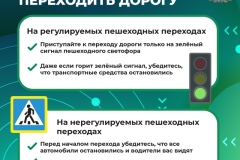 Медиапроект_Пешеходы