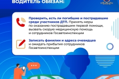 Медиапроект_Безопасность детей-пассажиров