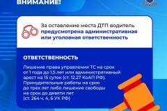 Медиапроект_Безопасность детей-пассажиров