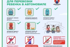 Медиапроект_Безопасность детей-пассажиров