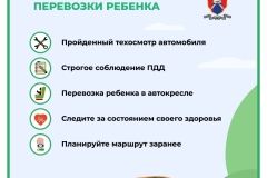 Медиапроект_Безопасность детей-пассажиров