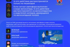 svetofor new